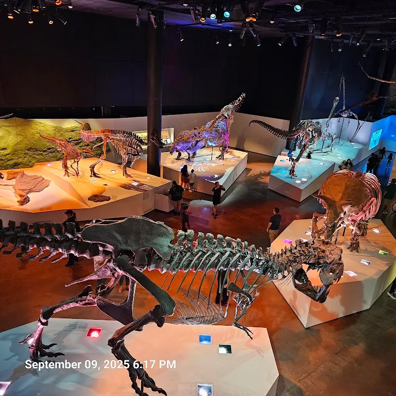 Houston Museum of Natural Science tourist attraction in Houston, TX
