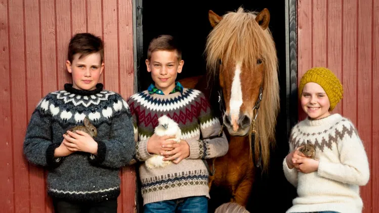 Hradastadir Horse Riding & Farm farmstay in Seltjarnarnes, CR