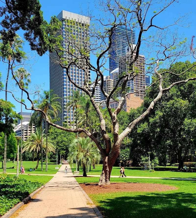 Hyde Park park in Sydney, NSW