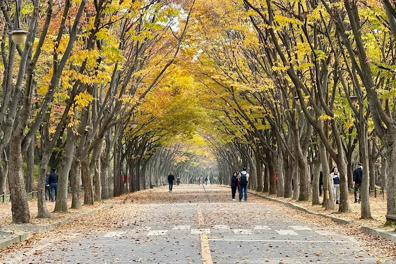 Incheon Grand Park park in Incheon, IC