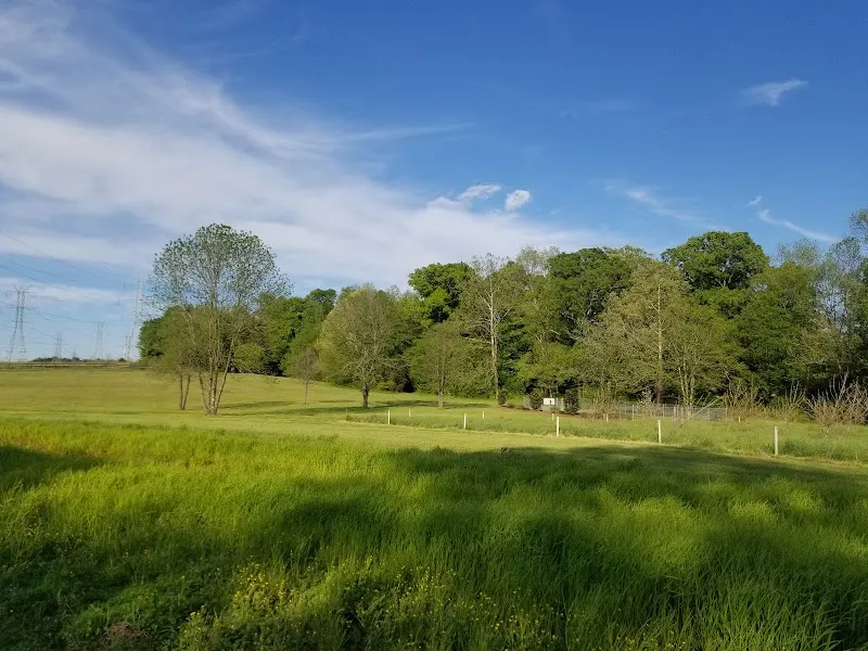 Irish Buffalo Creek Greenway hiking area in Kannapolis, NC