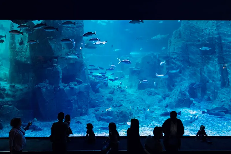 Istanbul Aquarium aquarium in Istanbul, IST