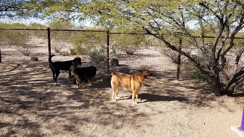 Ivan's Spot Dog Park dog park in Rita Ranch, AZ