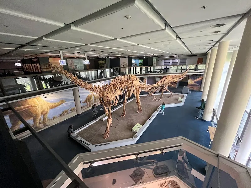 Iziko South African Museum museum in Cape Town, WC