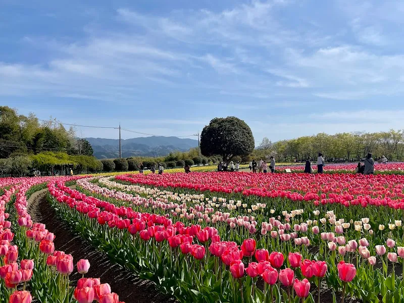 Izumi Family Recreation Center recreation center in Izumi, Osaka