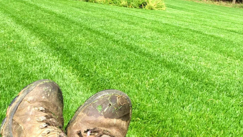 J&N Home And Garden Solutions Landscaping in Annandale, VA