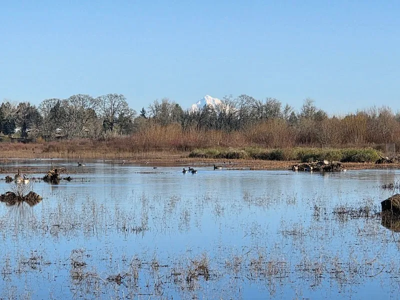 Jackson Bottom Wetlands nature preserve in Hillsboro, OR