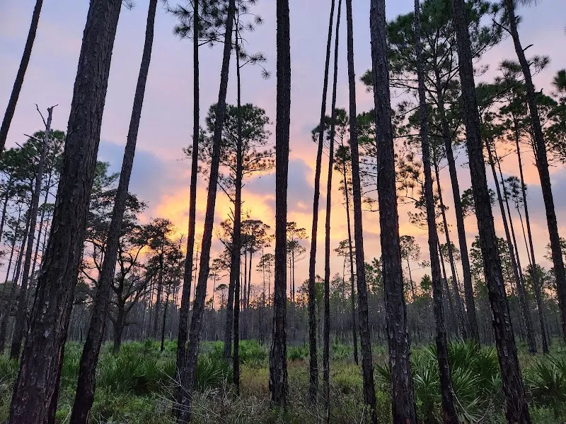 Jennings State Forest park in Middleburg, FL