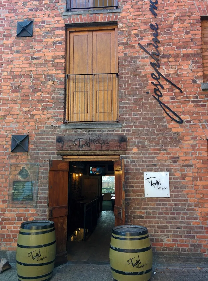 Josephine Mill Museum museum in Rondebosch, WC