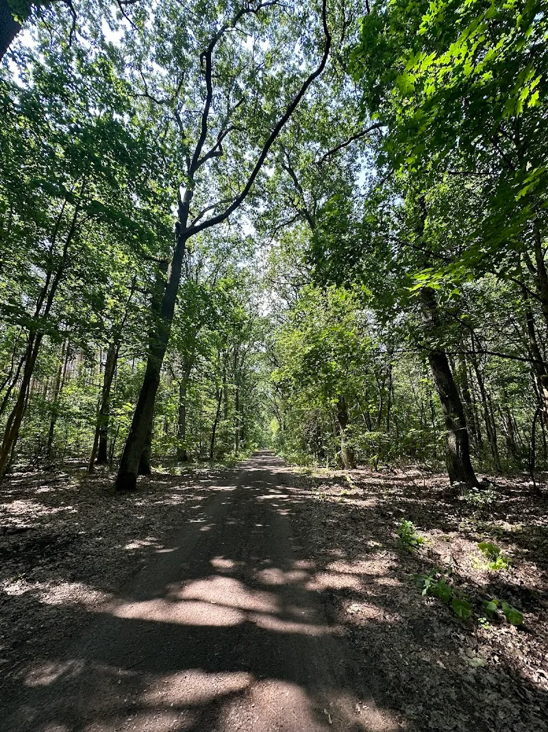 Jungfernheide Forst nature preserve in Oranienburg, BB