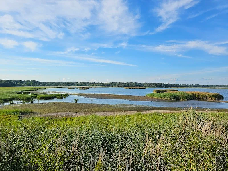 Kallaela Nature Reserve nature in Espoo, Uusimaa