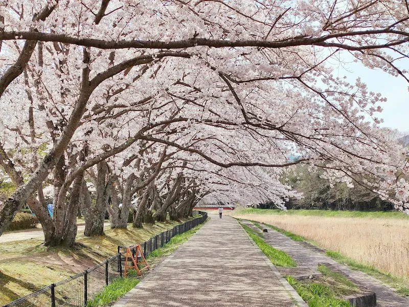 Kameoka Sports Park park in Kameoka, KYO