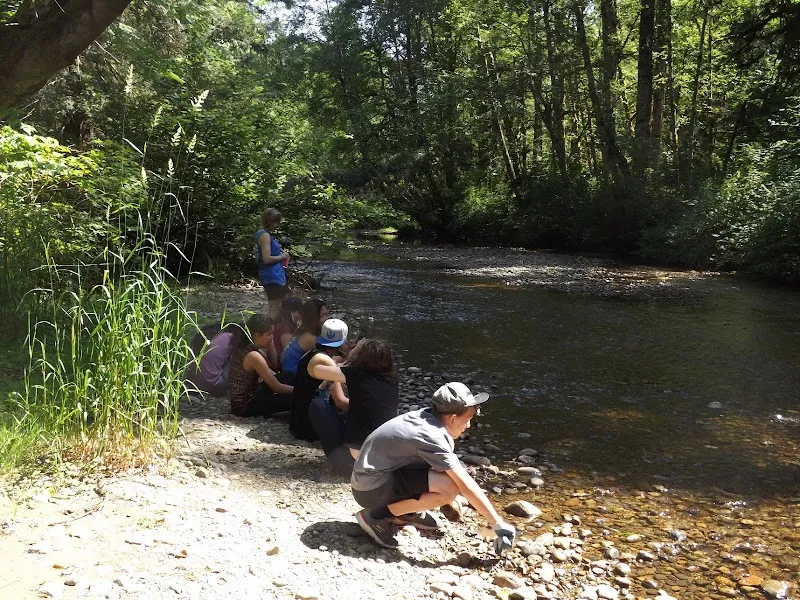 Kanaka Creek Regional Park nature preserve in Maple Ridge, BC