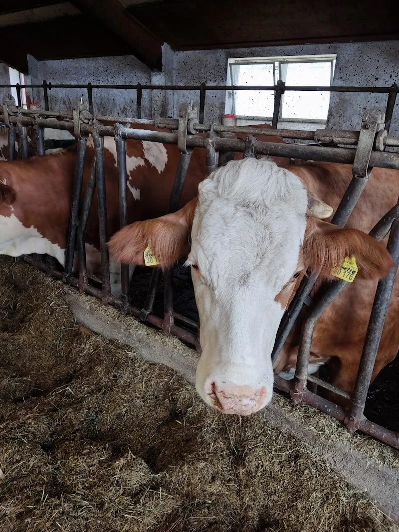 Kandlerhof Lern- und Erlebnishof farm in Fürstenfeldbruck, BY