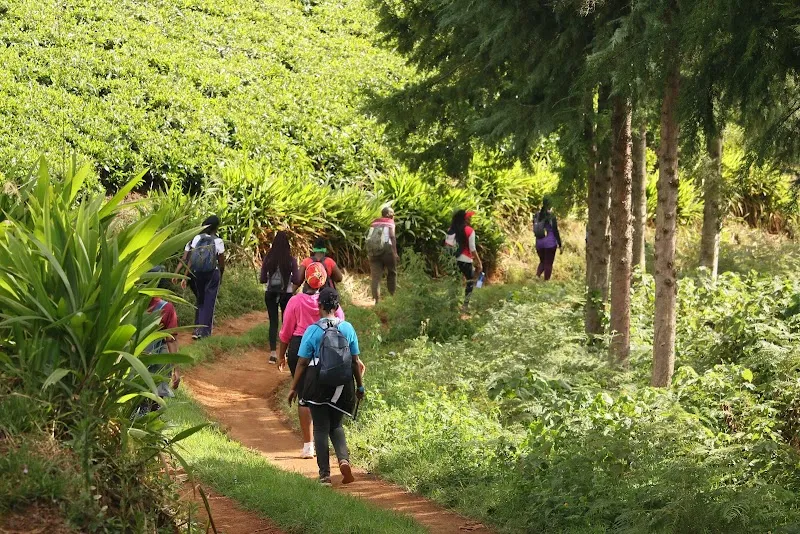Kawamwaki Farm picnic ground in Ruaka, Nairobi