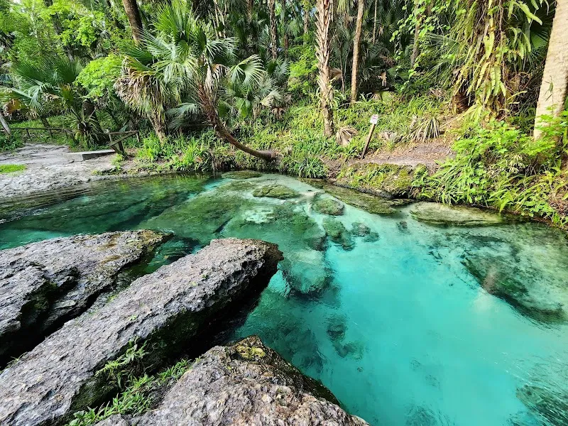 Kelly Park - Rock Springs park in Winter Garden, FL