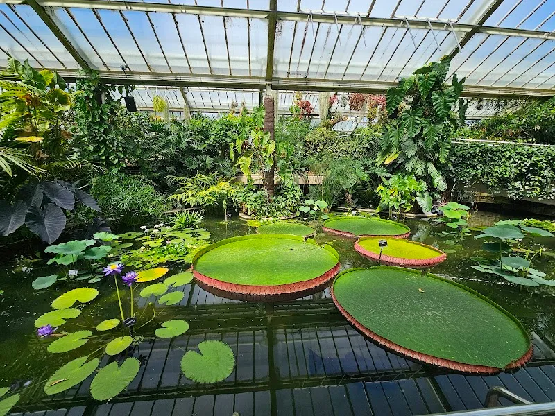 Kew Gardens car park parking lot in Kew, London