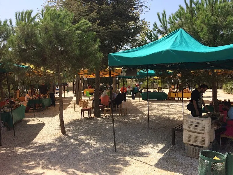 Khalda Organic Farm Market farm in Khalda, Amman