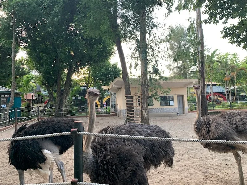 Khu vui chơi Cầu Vồng indoor play in Từ Liêm, HN