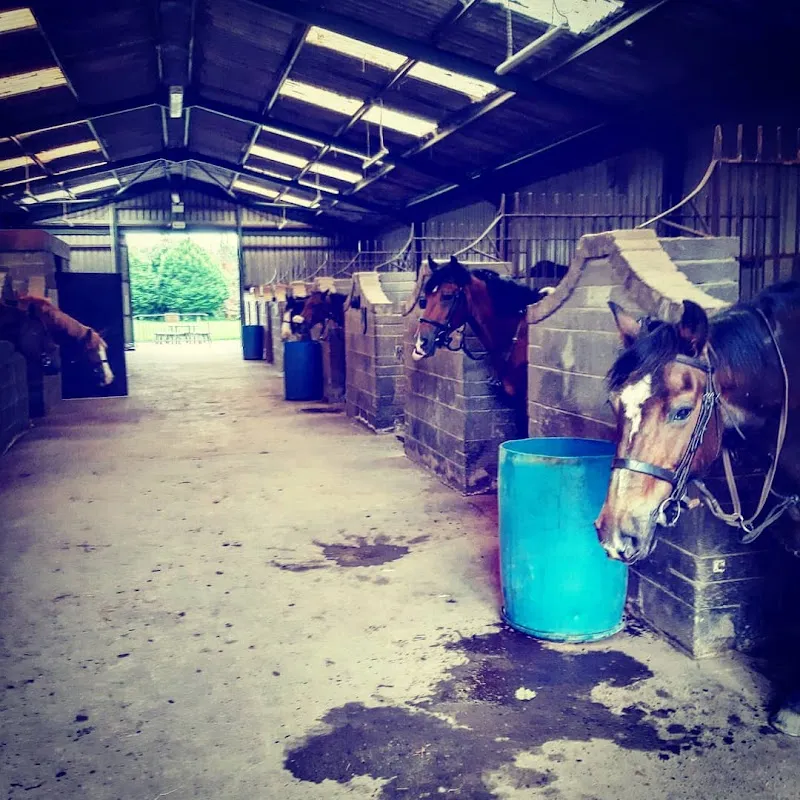 Kilronan Equestrian Centre sports activity location in Swords, D
