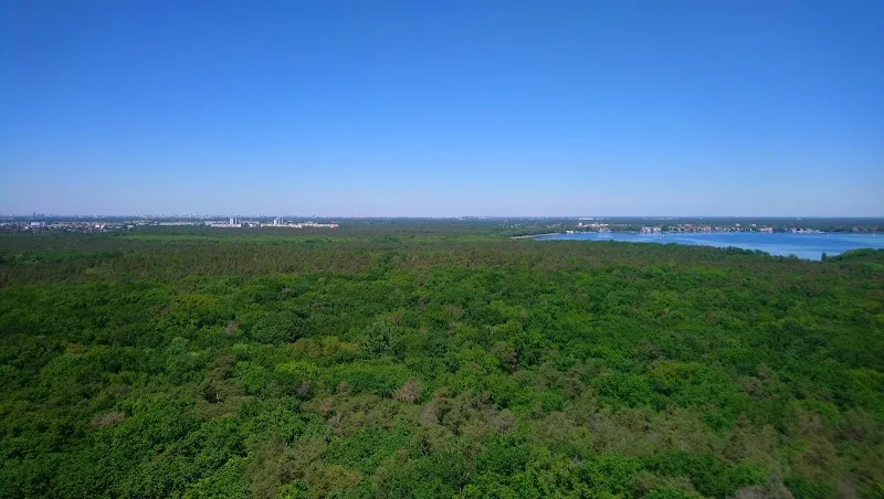 Kleiner Müggelberg nature preserve in Müggelsberge, BE