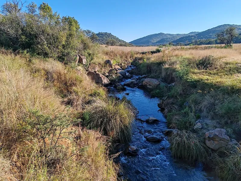 Klipriviersberg Nature Reserve nature preserve in Illovo, GP
