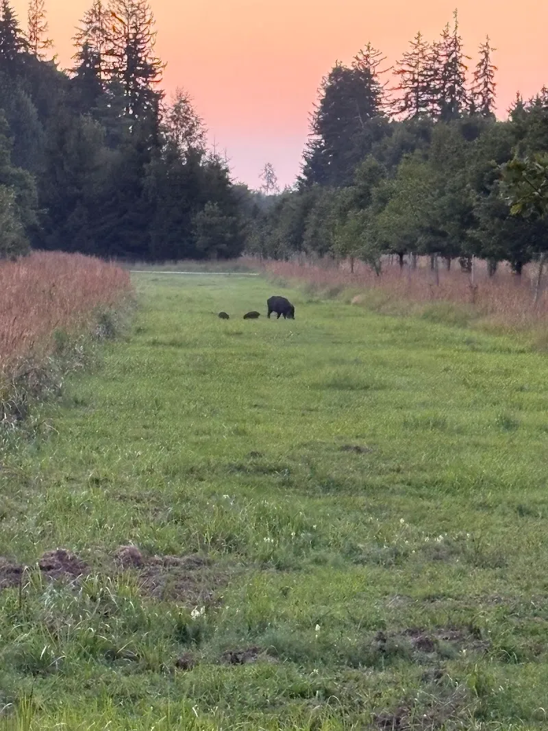 Kranzebach Stream Adventure Trail outdoor adventure in Martinsried, BY