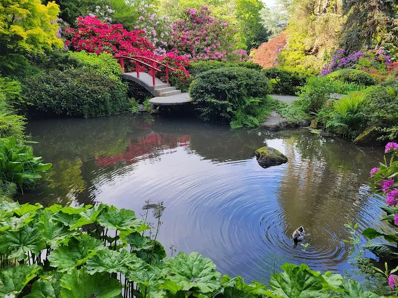 Kubota Garden garden in Seattle, WA