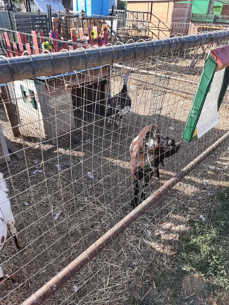 La Baby fattoria di Selene farm in Calenzano, Tuscany