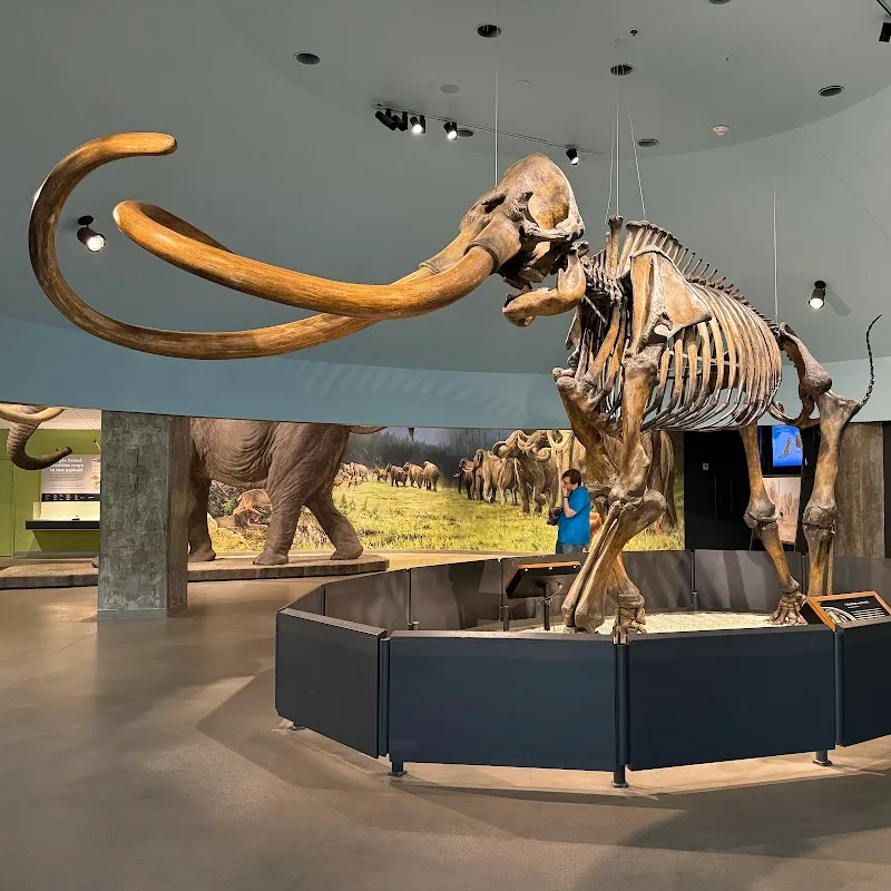 La Brea Tar Pits and Museum museum in Los Angeles, CA
