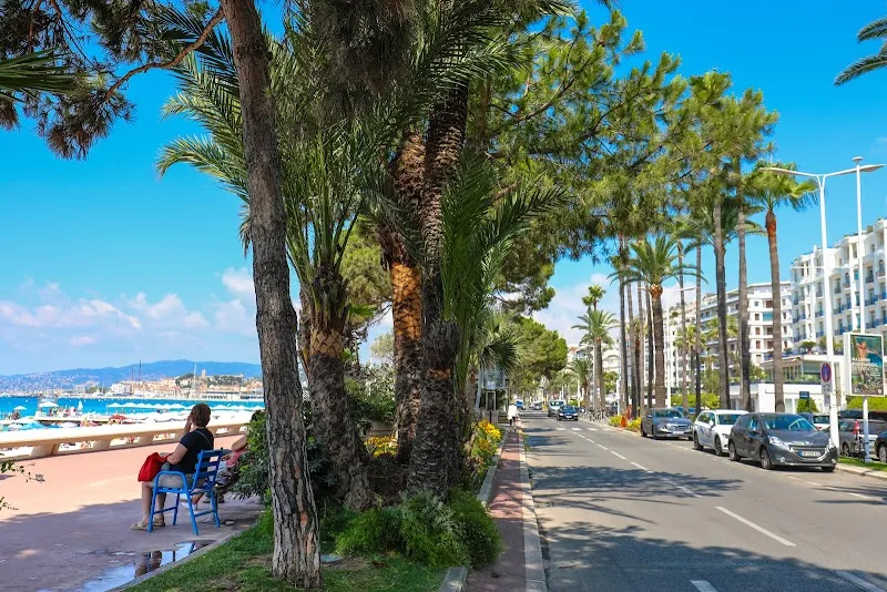 La Croisette - Cannes scenic spot in Cannes, PACA