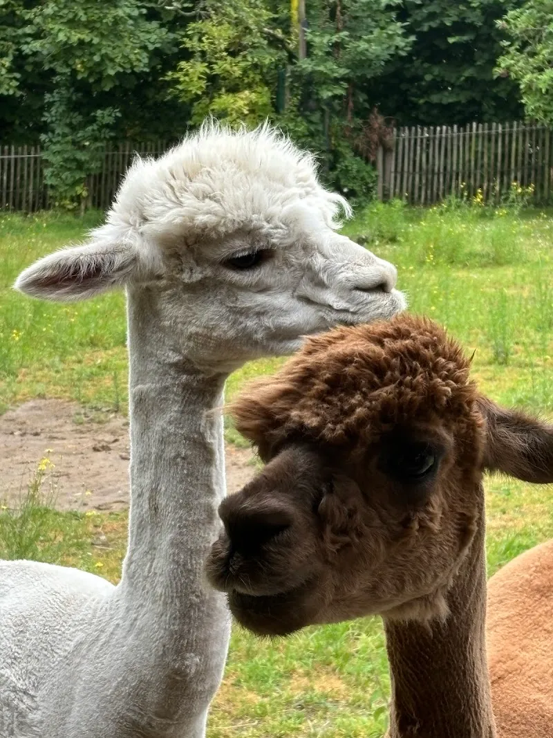 La Ferme Maximilien - De Maximiliaan boerderij point of interest in Anderlecht, BRU