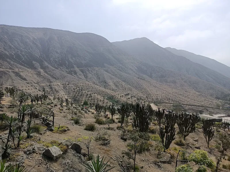 La Molina Ecological Park park in La Molina, Lima