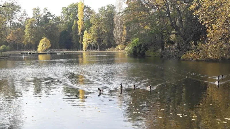 Lac des Minimes lake in Vincennes, IDF