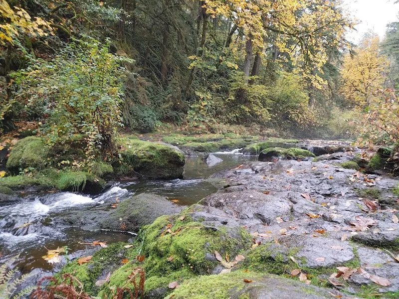 Lacamas Heritage Trail route in Camas, WA