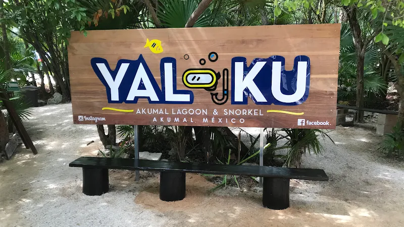 Laguna Yal Kú nature in Akumal, QR