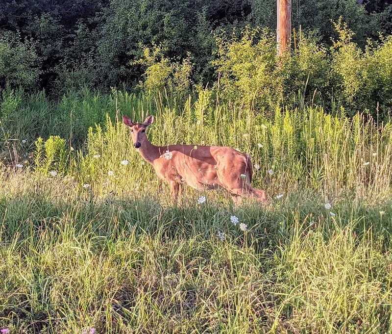 Lake Country Recreation Trail route in Pewaukee, WI