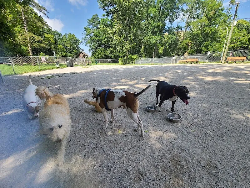 Lakewood Dog Park dog park in Lakewood, OH