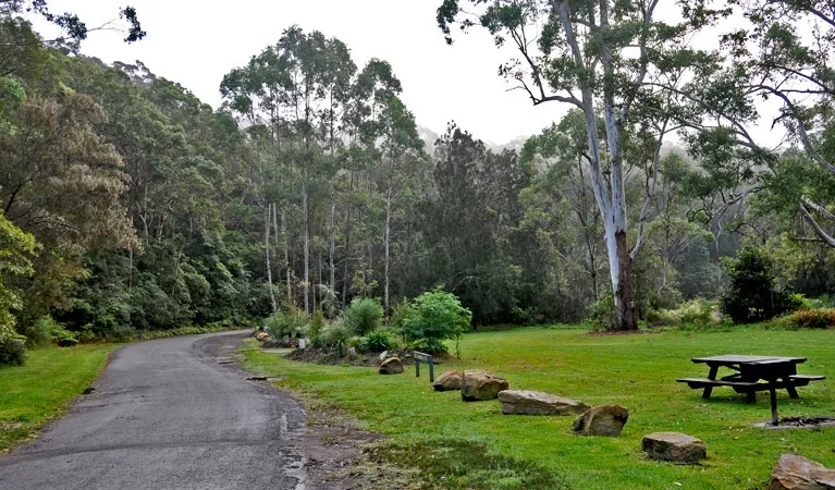 Lane Cove National Park national park in Pymble, NSW
