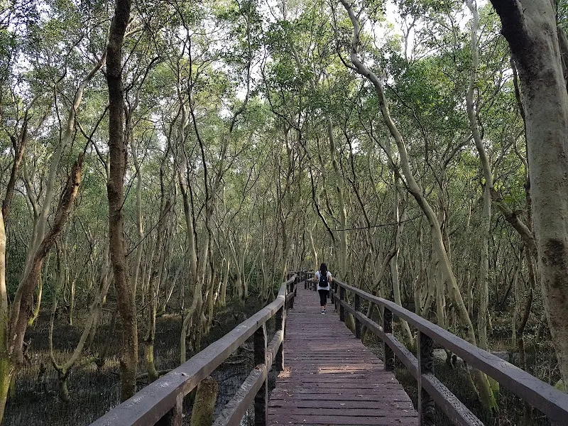Las Piñas-Parañaque Wetland Park nature preserve in Las Piñas, NCR