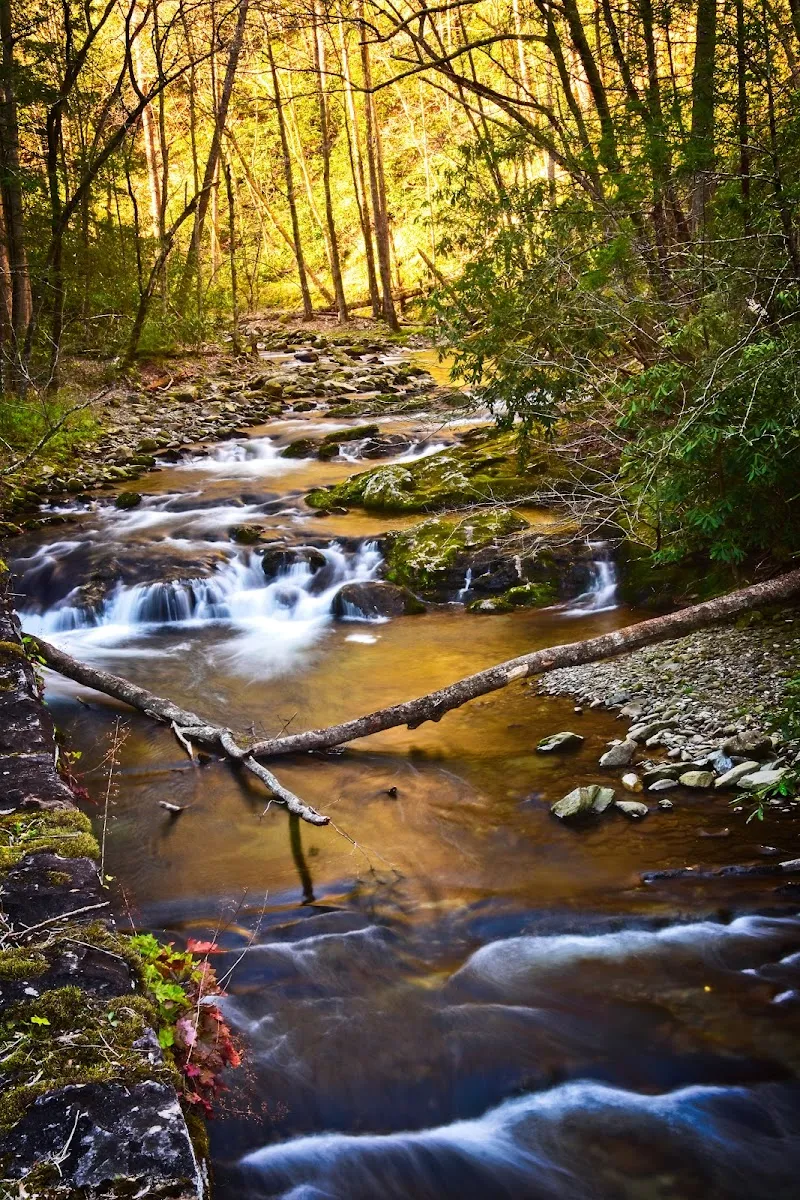Laurel Creek Parking #1 childrens camp in Walland, TN