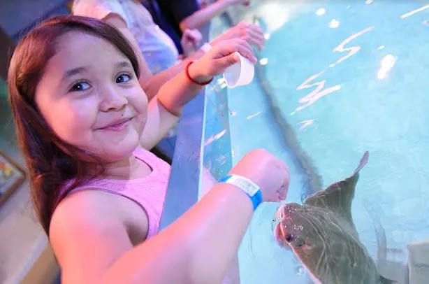 Layton Aquarium & Wildlife aquarium in Layton, UT