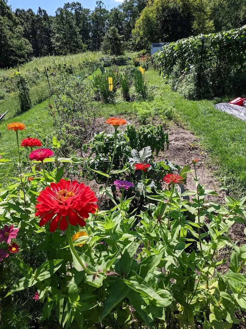 Lexington Community Gardens garden in Lexington, MA