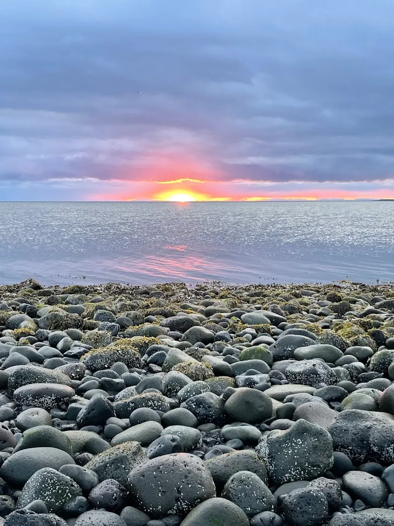 Álftanes Café & Local Shop cafe in Álftanes, CR