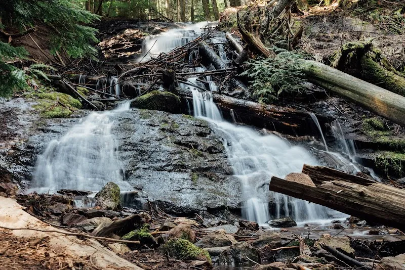 Liberty Lake Regional Park park in Reardan, WA