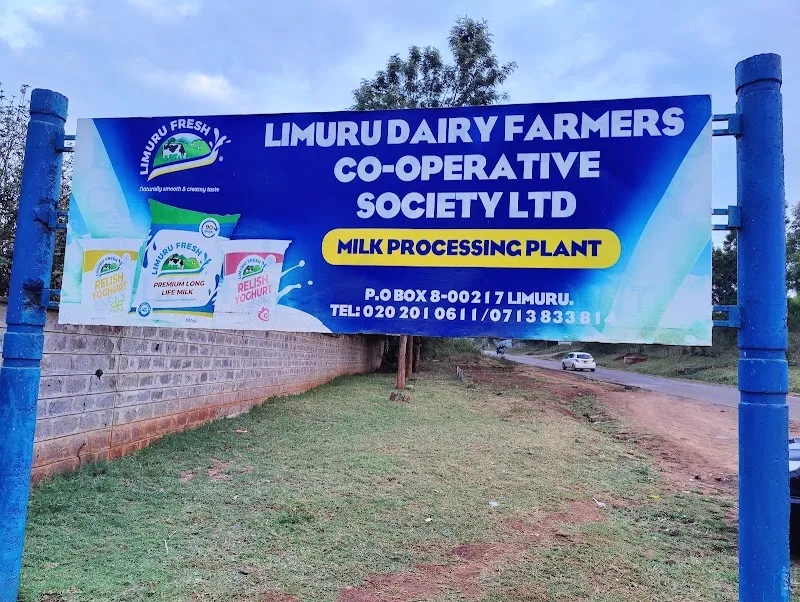 Limuru Dairy Farm Experience farm in Limuru, Nairobi