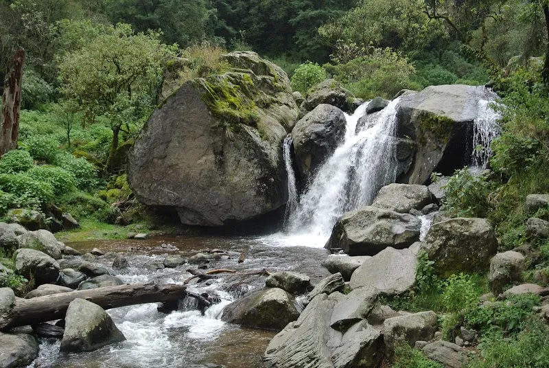 Los Dinamos nature preserve in La Magdalena Contreras, CDMX