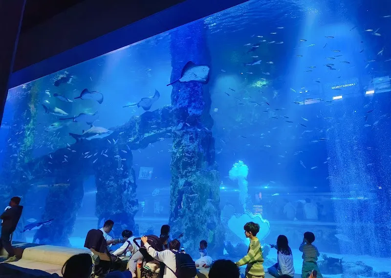 LOTTE WORLD AQUARIUM aquarium in Songpa, SE