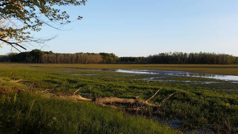 Louisville Swamp lake in Shakopee, MN