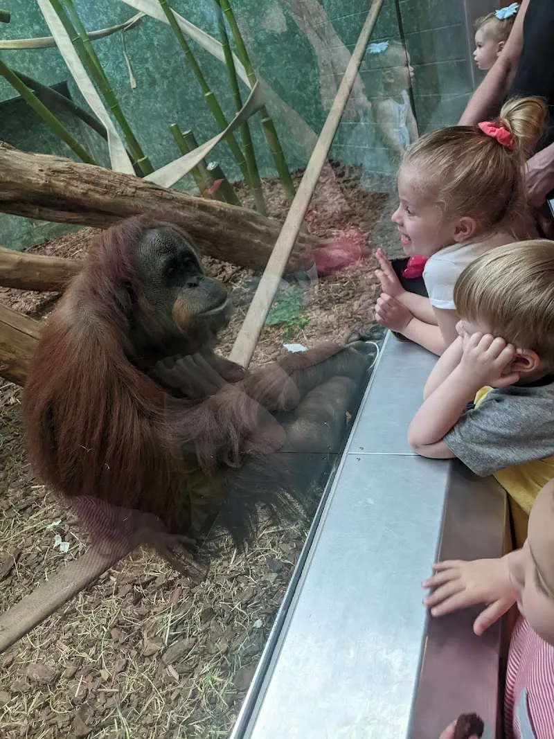 Louisville Zoo zoo in Louisville, KY